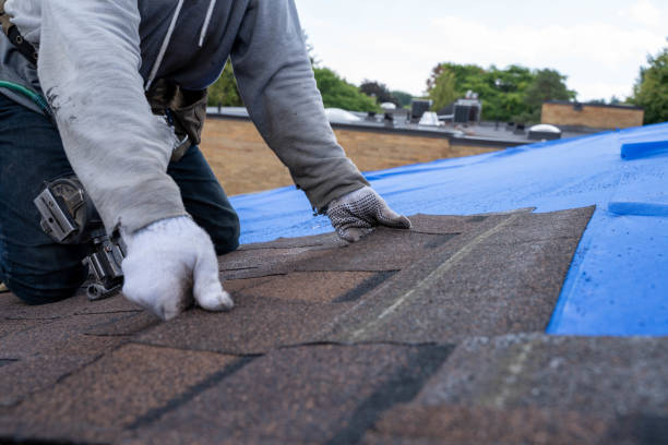 Best Gutter Installation and Roofing  in Morristown, TN